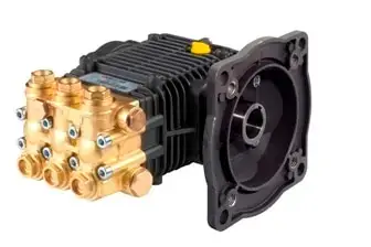 Comet FWS2 5530 E Hollow Shaft Pressure Washer Pump
